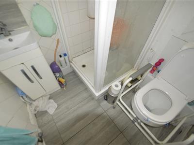 Picture 7